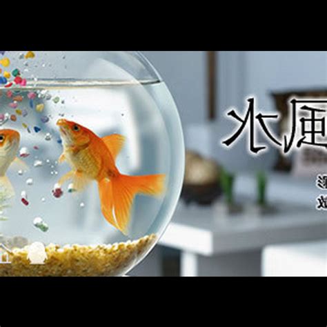 魚缸養魚數量|魚缸養多少魚合適，這個公式告訴你，再也不用請教別。